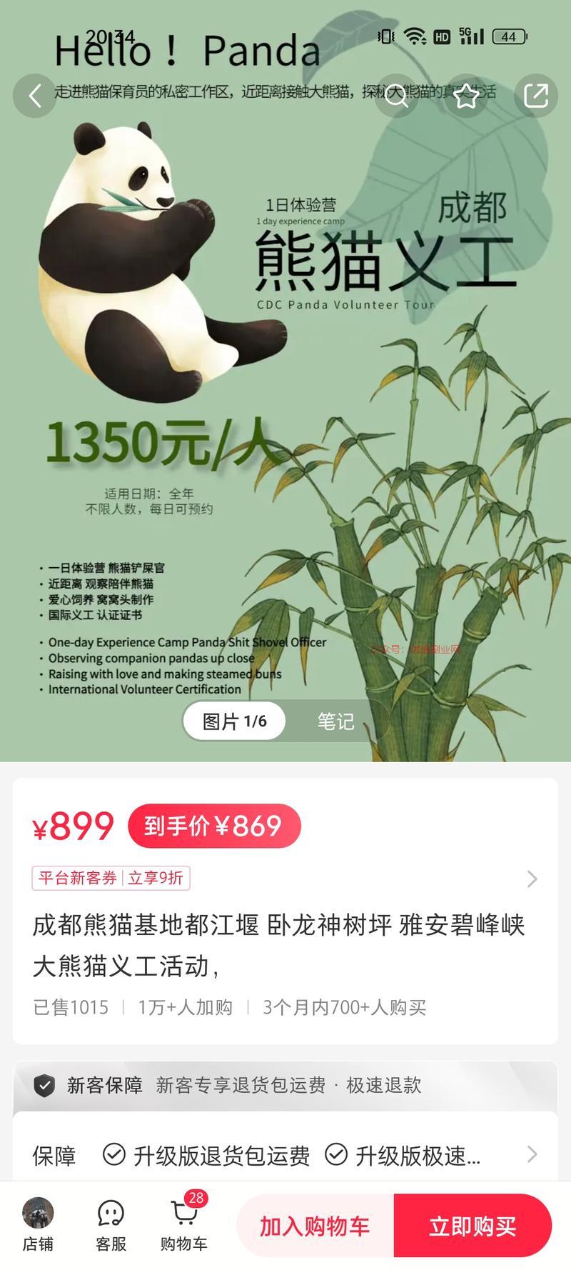 大熊猫义工一日体验营8…#情报-搞钱情报论坛-网创交流-优选副业网